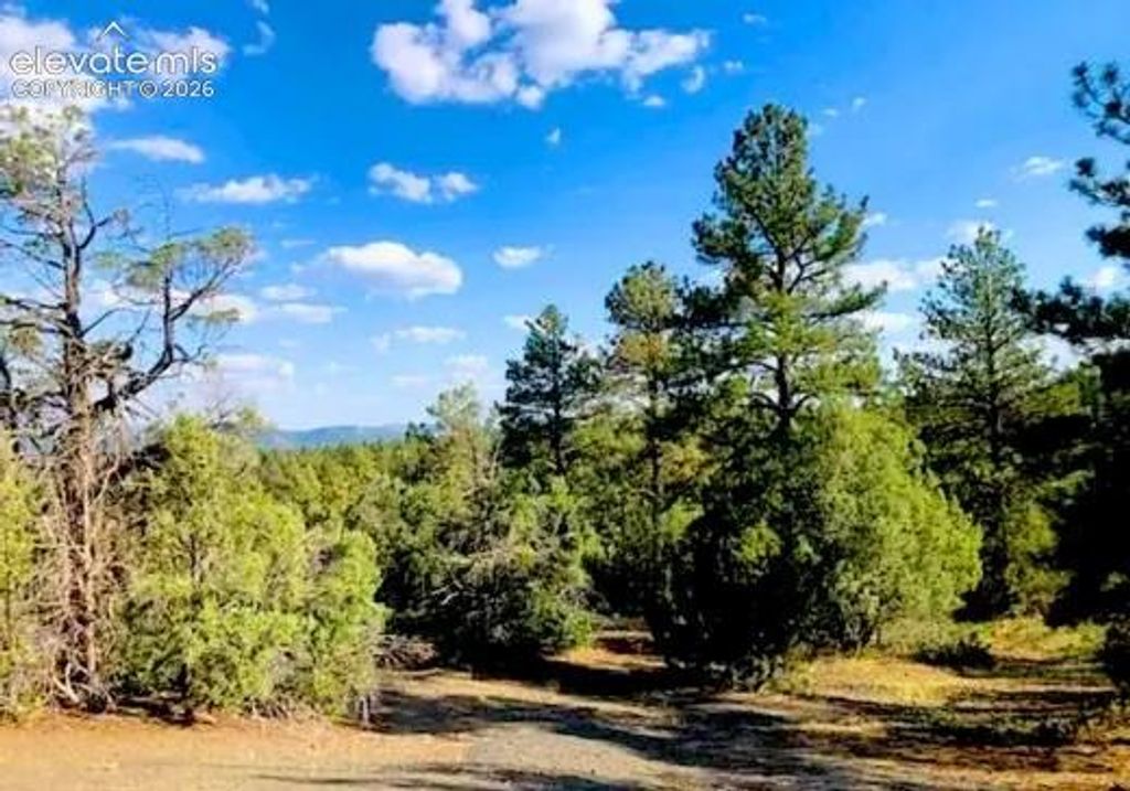 131 Retreat Court, Pagosa Springs, CO 81147 — photo 4
