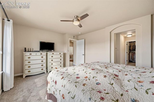 11383 Rill Point, Colorado Springs, CO 80921