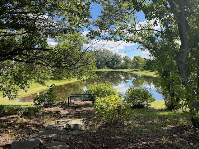 2817 Windside Court, Scio Twp, MI 48103