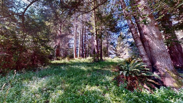 918 River Beach Rd, The Sea Ranch, CA 95497