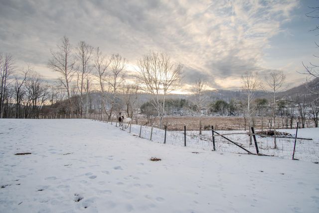 4388 Muses Mill Road, Wallingford, KY 41093