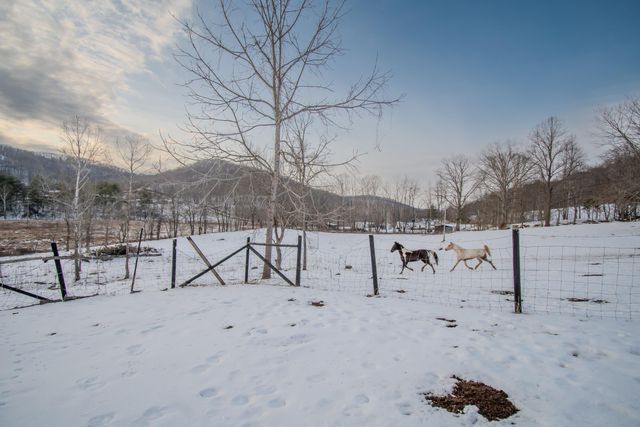 4388 Muses Mill Road, Wallingford, KY 41093