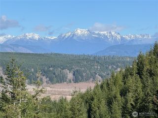 151 E Amy Court, Shelton, WA 98584