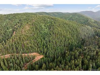 Forest Lane, Larkspur, CO 80118