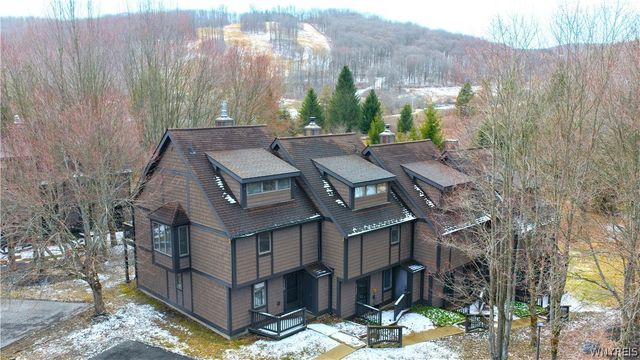 118 Holiview, Ellicottville, NY 14731