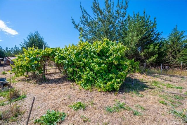 1144 Arboles Way, Arroyo Grande, CA 93420