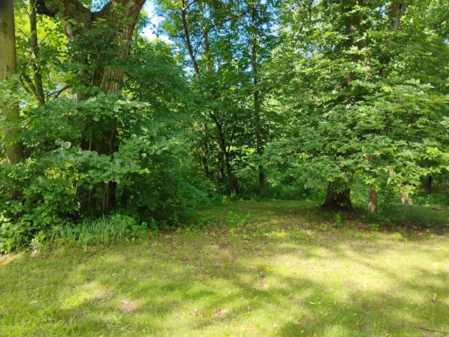44888 County Highway 54, Rush Lake Twp, MN 56571