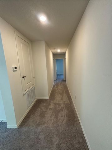 2734 RAINDROP RUN ST, Clermont, FL 34714