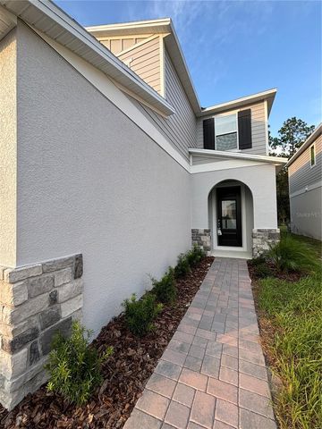 2734 RAINDROP RUN ST, Clermont, FL 34714