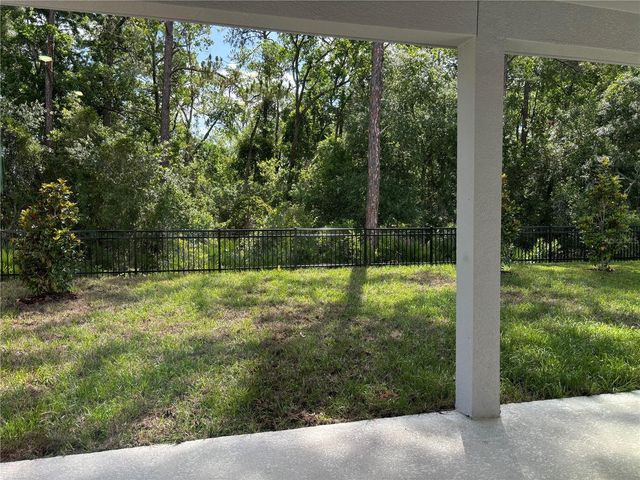 2734 RAINDROP RUN ST, Clermont, FL 34714