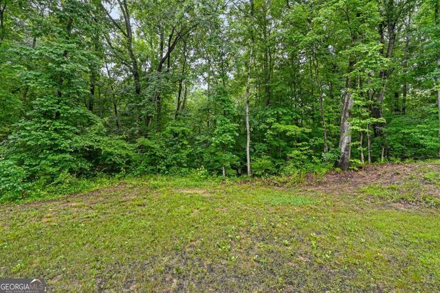 241 Muskogee Drive, Dallas, GA 30132