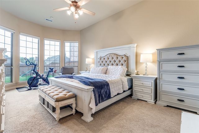11091 Apple Valley Drive, Frisco, TX 75033