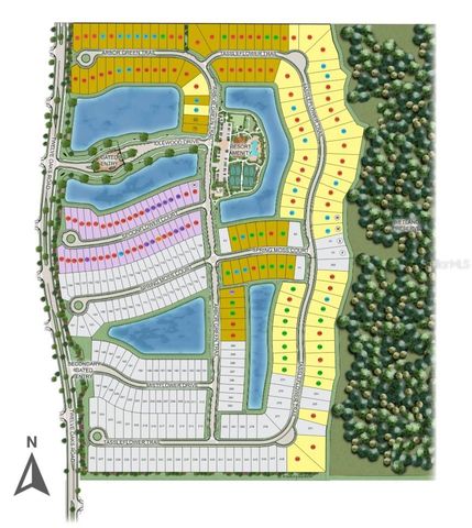 997 TASSLEFLOWER TRAIL, St Cloud, FL 34771