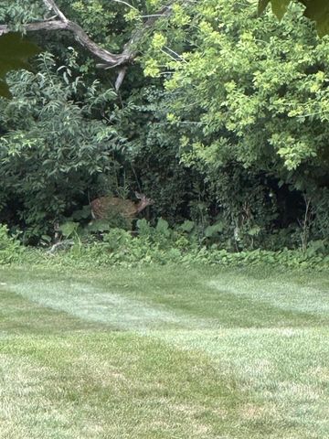 N68W29926 Hartling ROAD, Hartland, WI 53029