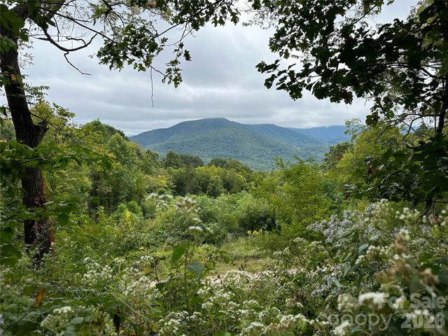 00 High Rock View Drive, Canton, NC 28716