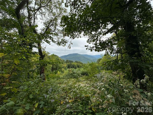 00 High Rock View Drive, Canton, NC 28716