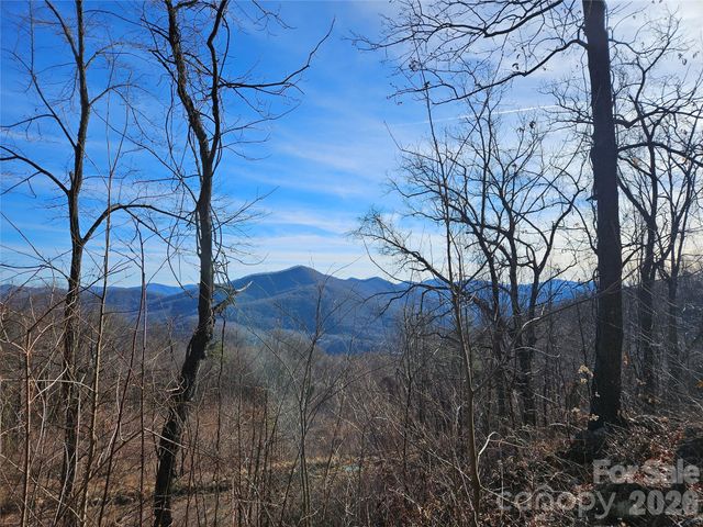 00 High Rock View Drive, Canton, NC 28716