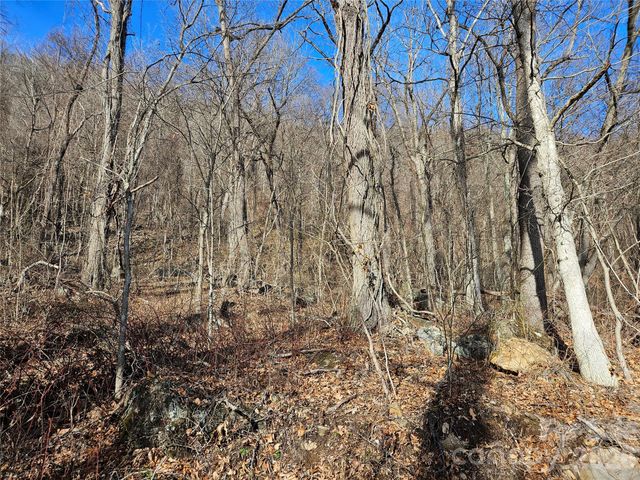 00 High Rock View Drive, Canton, NC 28716