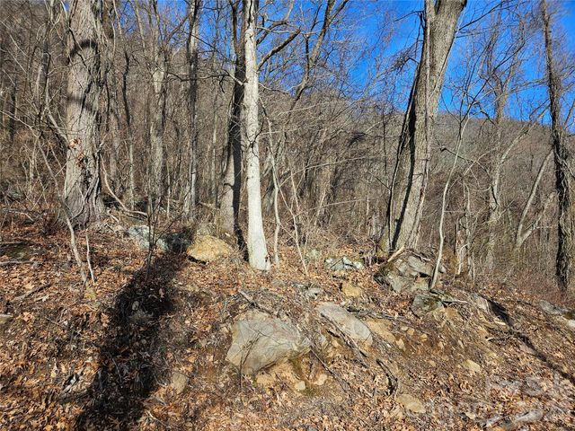 00 High Rock View Drive, Canton, NC 28716