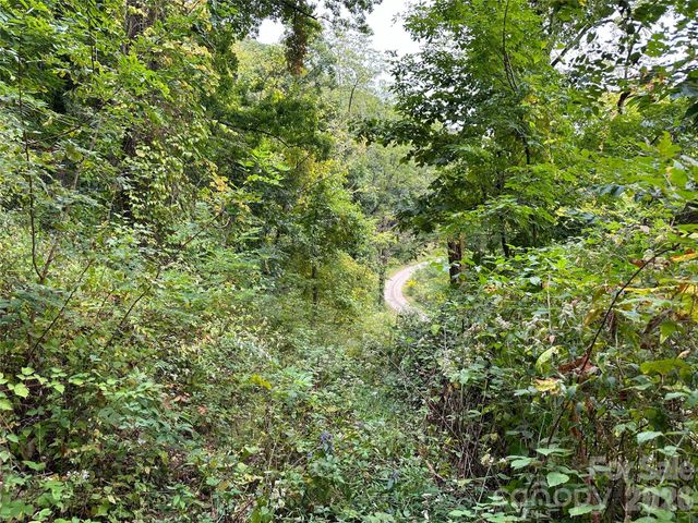 00 High Rock View Drive, Canton, NC 28716