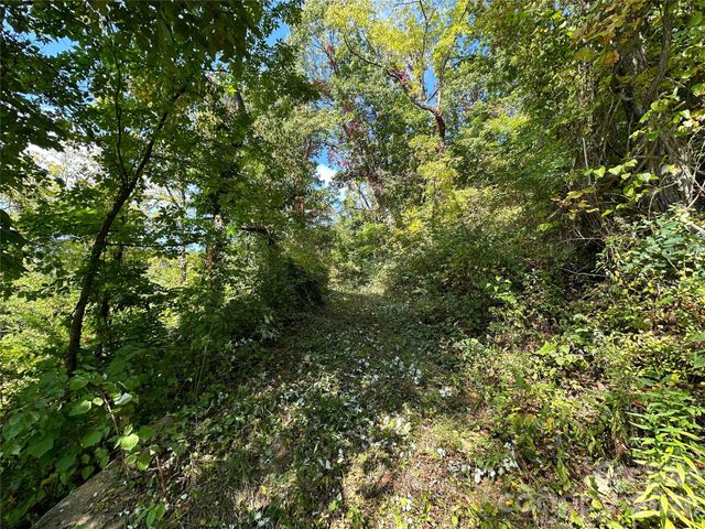 00 High Rock View Drive, Canton, NC 28716