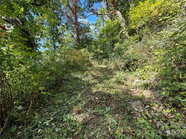 00 High Rock View Drive, Canton, NC 28716