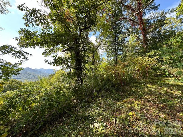 00 High Rock View Drive, Canton, NC 28716