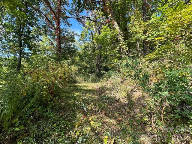 00 High Rock View Drive, Canton, NC 28716
