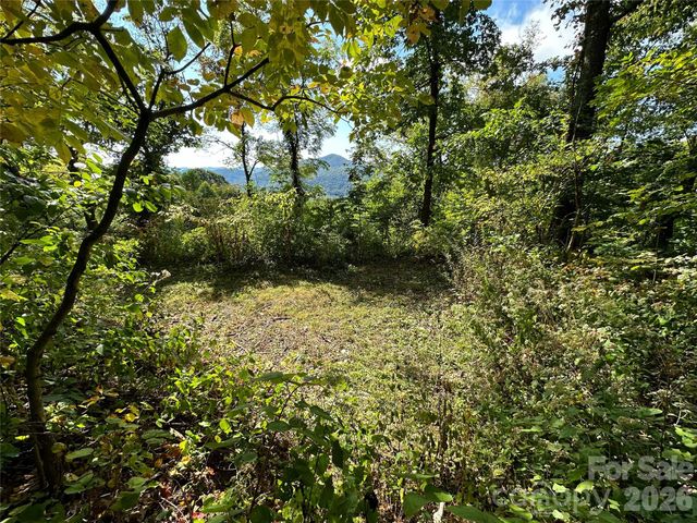 00 High Rock View Drive, Canton, NC 28716