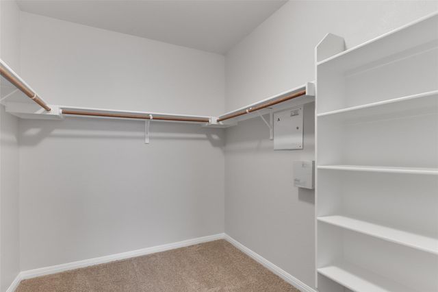 11133 Sandstone TRL, Austin, TX 78750
