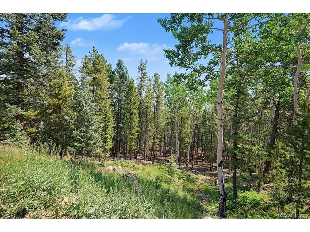 10742 Timothys Rd, Conifer, CO 80433