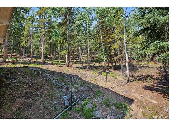 10742 Timothys Rd, Conifer, CO 80433