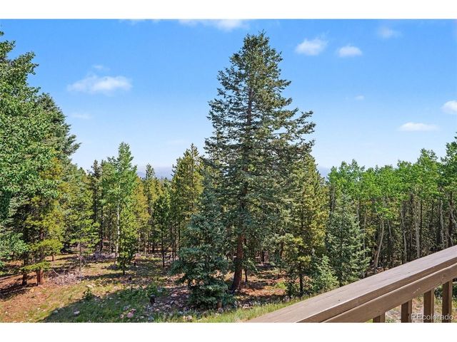10742 Timothys Rd, Conifer, CO 80433