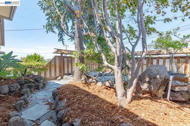 5223 Crane Ave, Castro Valley, CA 94546