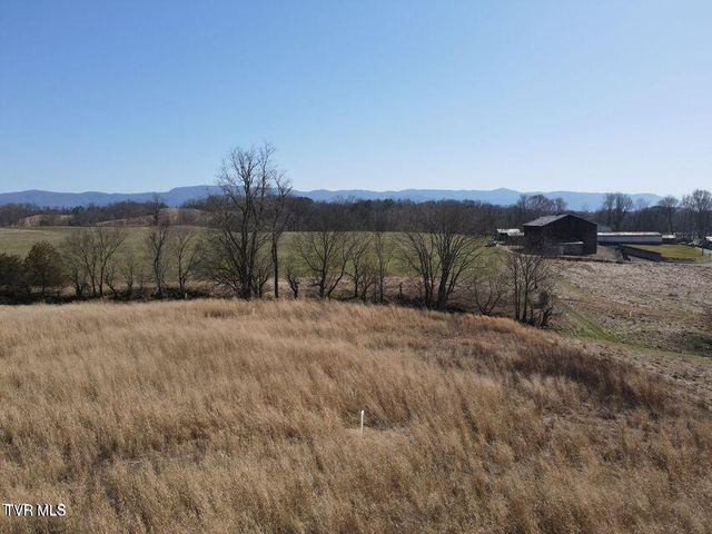 Tbd River Village Ln Lane, Afton, TN 37616