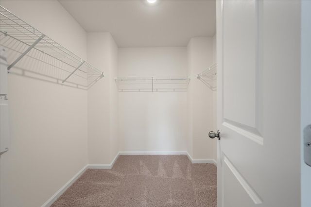 434 Duskywing Drive, Goose Creek, SC 29445