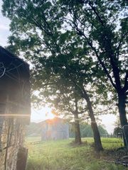 450 Wolf Pit Rd, Erin, TN 37061