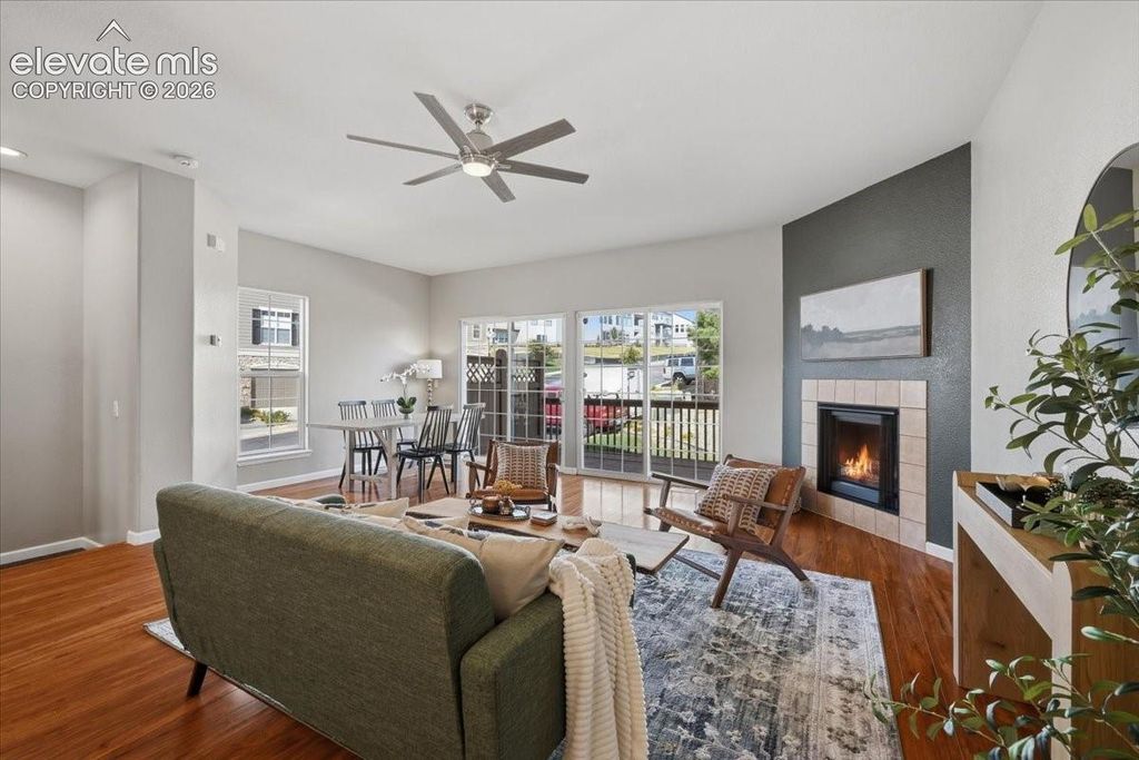 996 Burning Bush Point, Monument, CO 80132 — photo 2