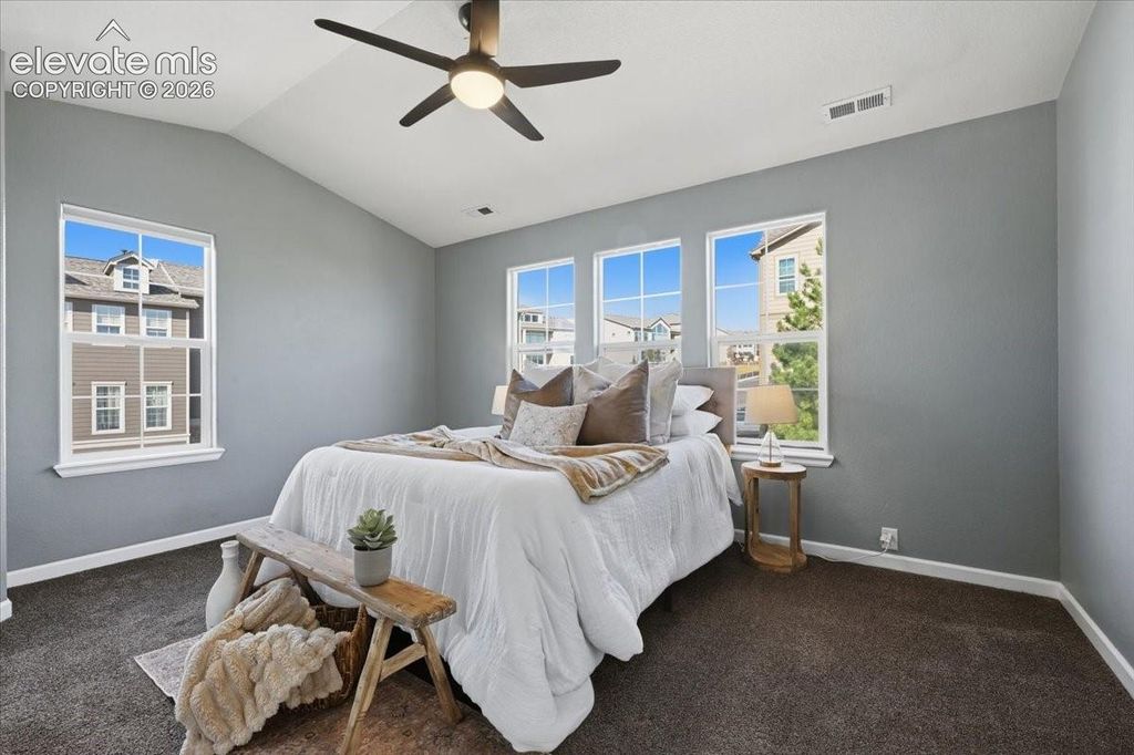 996 Burning Bush Point, Monument, CO 80132 — photo 4