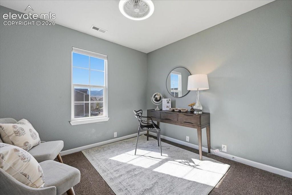 996 Burning Bush Point, Monument, CO 80132 — photo 5