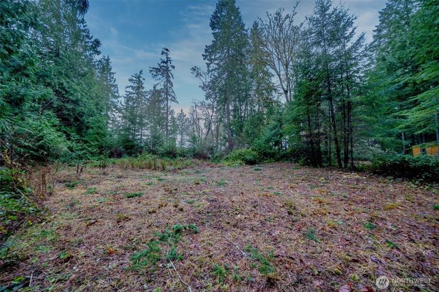 14018 96th Street Ct, Anderson Island, WA 98303