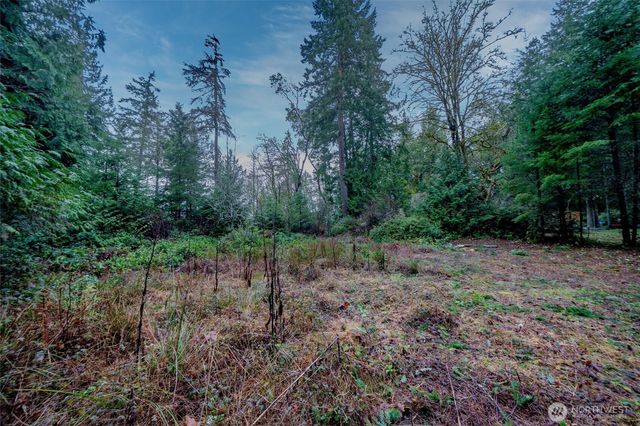 14018 96th Street Ct, Anderson Island, WA 98303