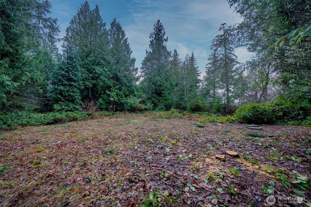 14018 96th Street Ct, Anderson Island, WA 98303