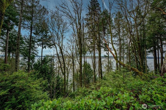 14018 96th Street Ct, Anderson Island, WA 98303