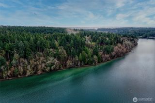 14018 96th Street Ct, Anderson Island, WA 98303