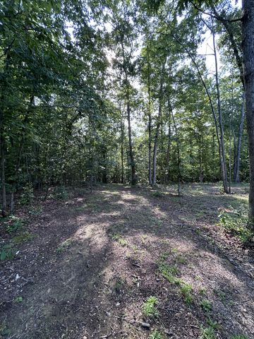 161 Vista Pointe Rd, Hohenwald, TN 38462