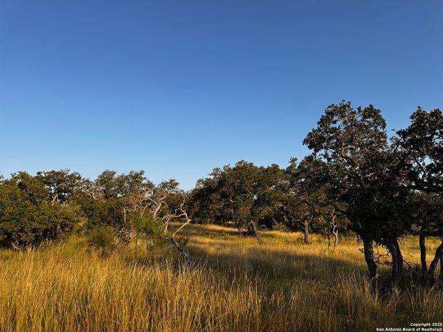 11889 home place, Mason, TX 76856