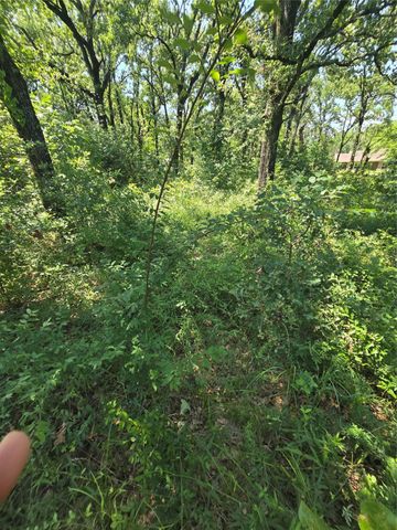 0 Nina Street, Payne Springs, TX 75156