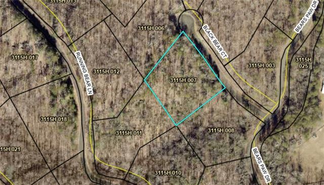 35 Black Bear Ct, Ellijay, GA 30536