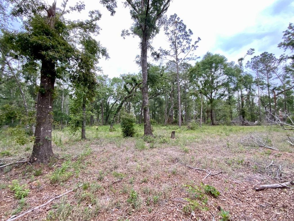Vacant NE Bellville Road, Pinetta, FL 32350